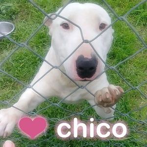 Meet your Posher, Aurora